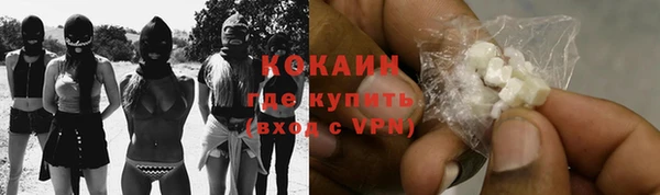 мдпв Богданович