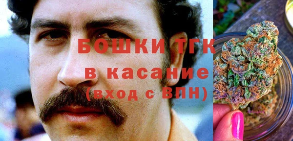 мдпв Богданович