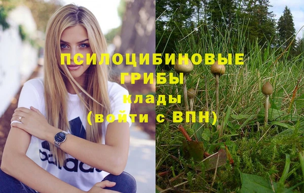 винт Богородицк