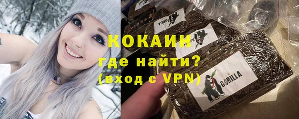 мдпв Богданович