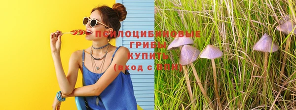 скорость Богородск